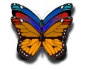 Butterfly's 92kb