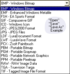 Open or Save file Type